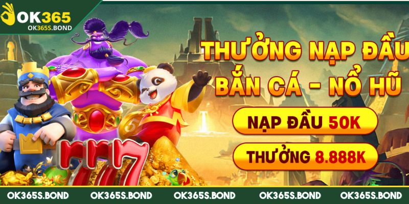 Nạp Tiền OK365 - Hướng Dẫn Giao Dịch Nhanh Gọn Và An Toàn 3 Các lỗi thường gặp nên biết khi nạp tiền OK365